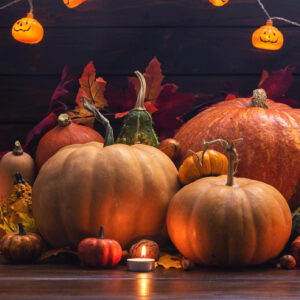 vibrant autumn display featuring an assortment of pumpkins in various shapes, sizes, textures, and colors